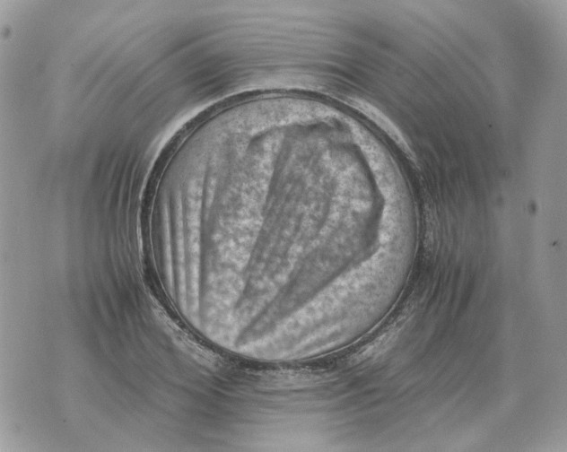 X0000070370980200607072124