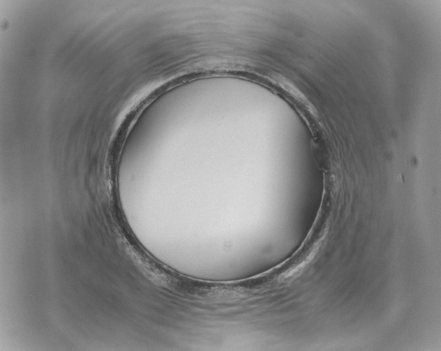 X0000070370981200607072124