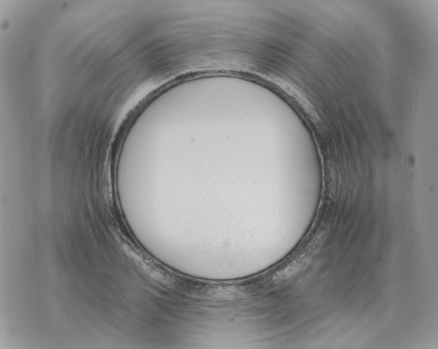 X0000070370982200607072124