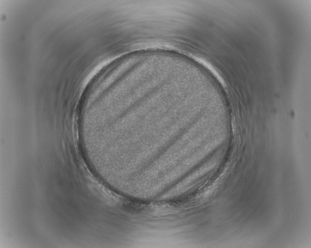 X0000070370983200607072124