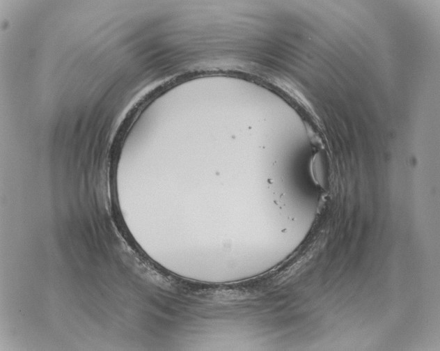 X0000070370984200607072124