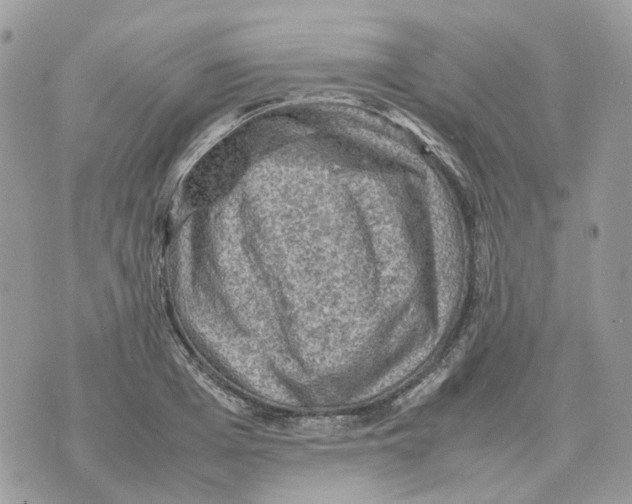 X0000070370985200607072124