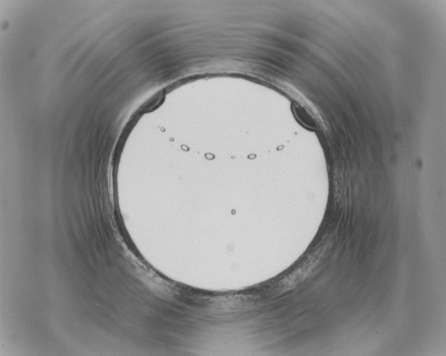 X0000070370988200607072124