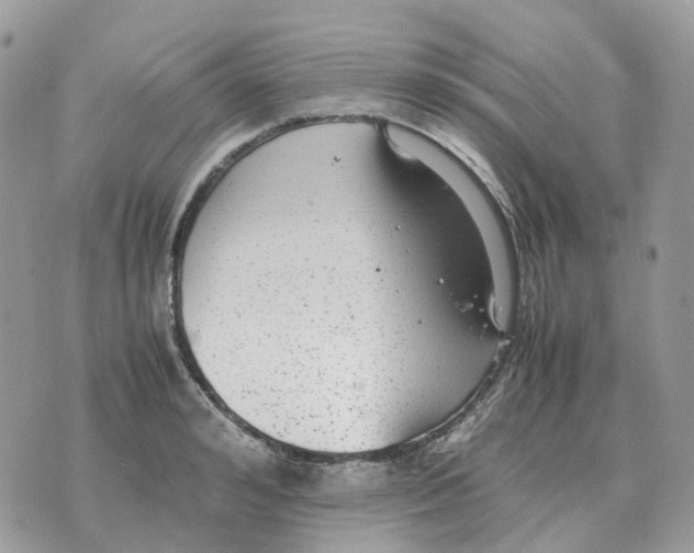 X0000070370992200607072124