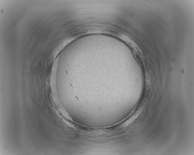 X0000070370993200607072124