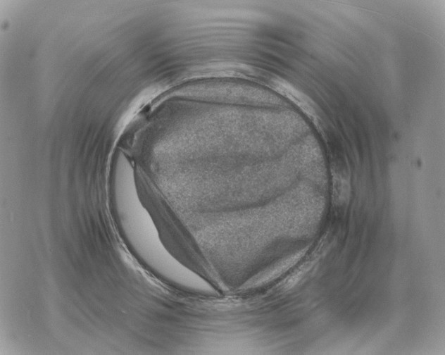 X0000070370994200607072124