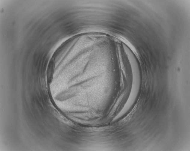 X0000070370996200607072124