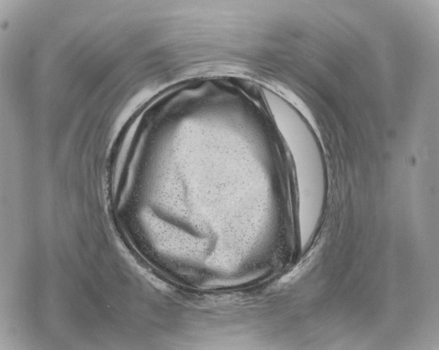 X0000070370997200607072124