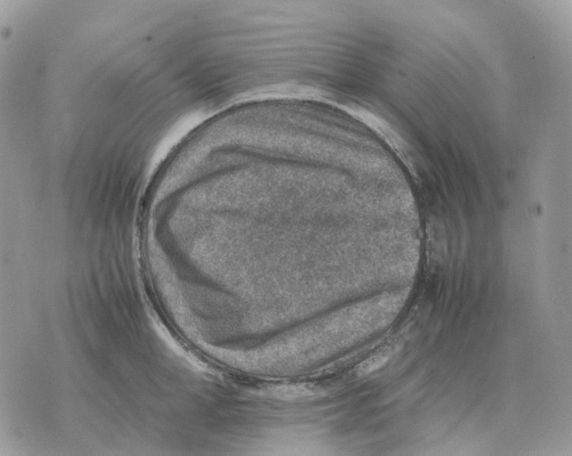 X0000070370998200607072124