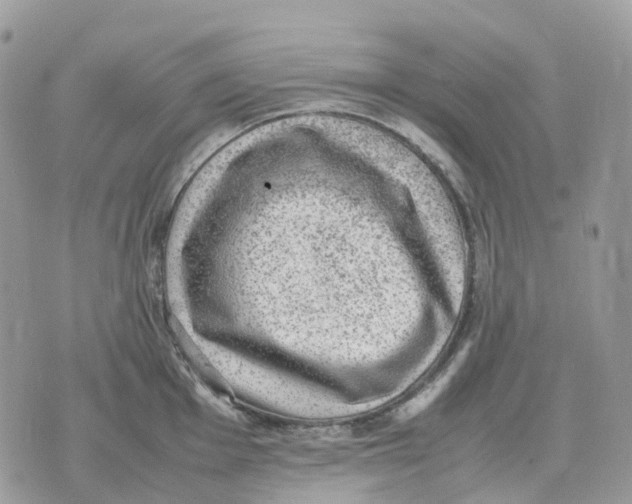 X0000070371001200607072124