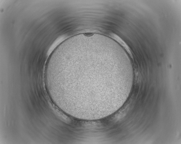 X0000070371002200607072124