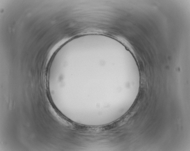 X0000070371003200607072124