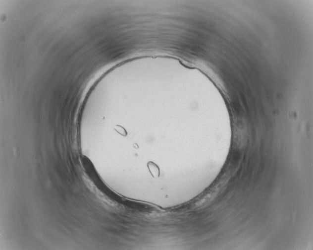 X0000070371004200607072124