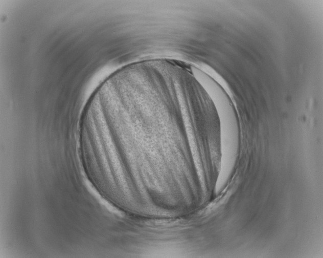 X0000070371005200607072124