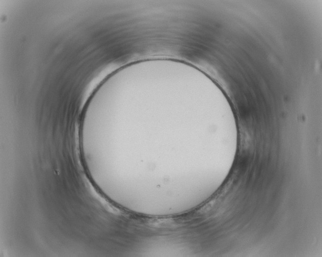 X0000070371006200607072124