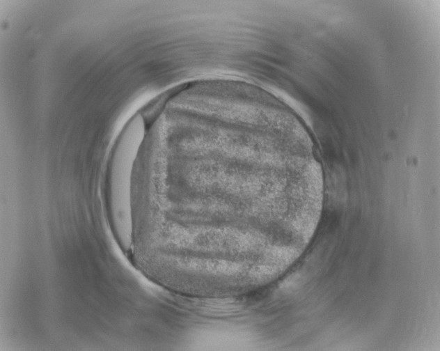 X0000070371007200607072124