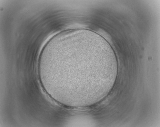 X0000070371008200607072124