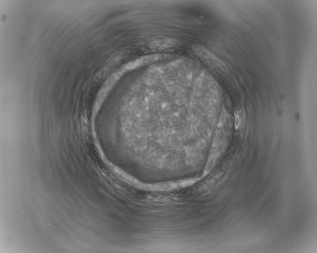 X0000070371011200607072123