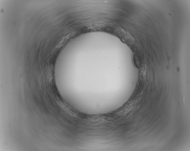 X0000070371012200607072123