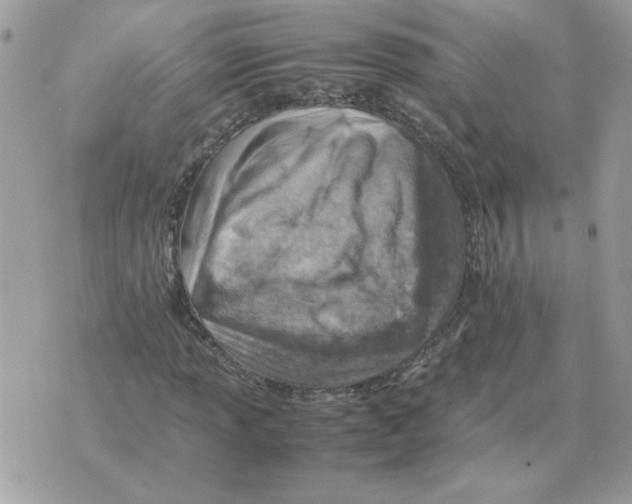 X0000070371013200607072123