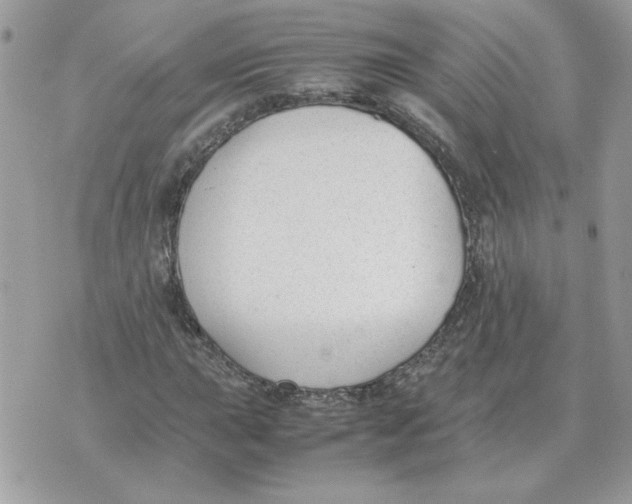 X0000070371015200607072123