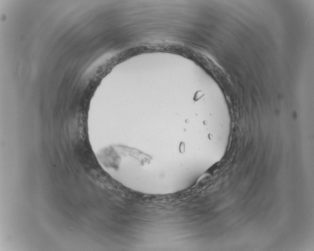 X0000070371016200607072123