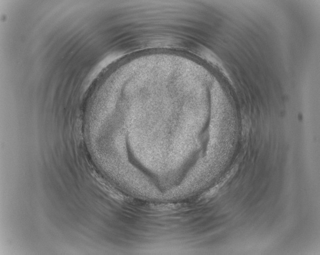 X0000070371019200607072123