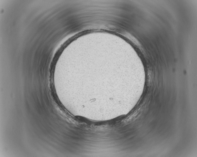 X0000070371020200607072123