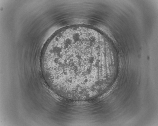 X0000070371023200607072123