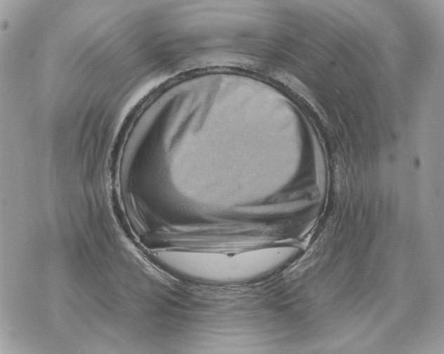 X0000070371024200607072123