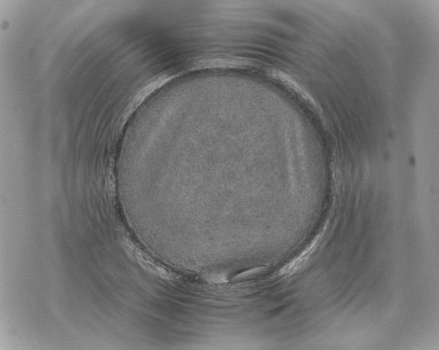 X0000070371025200607072123