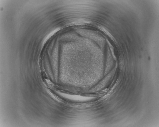 X0000070371026200607072123