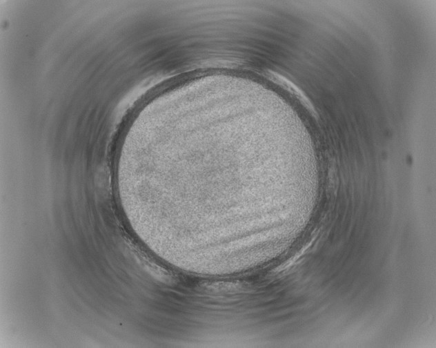 X0000070371027200607072123