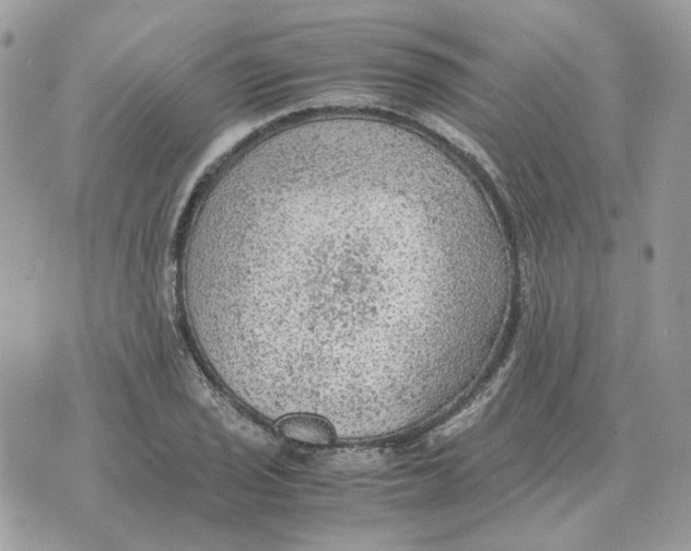 X0000070371029200607072123