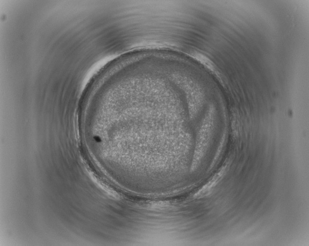 X0000070371030200607072123