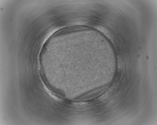 X0000070371031200607072123