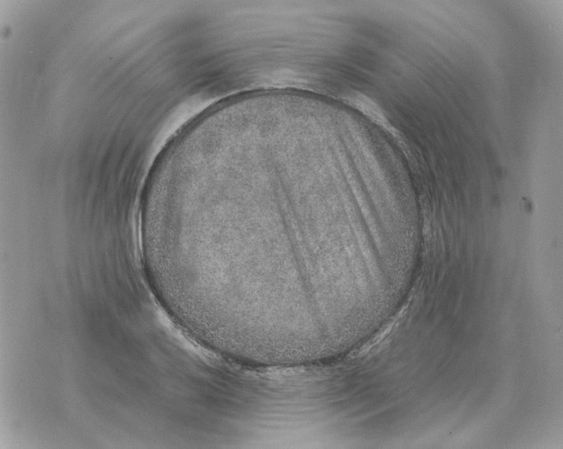 X0000070371032200607072123