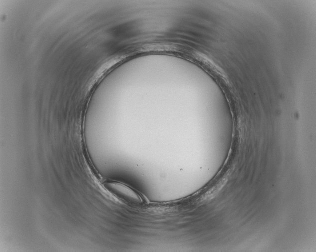 X0000070371033200607072123