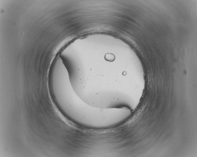 X0000070371034200607072123