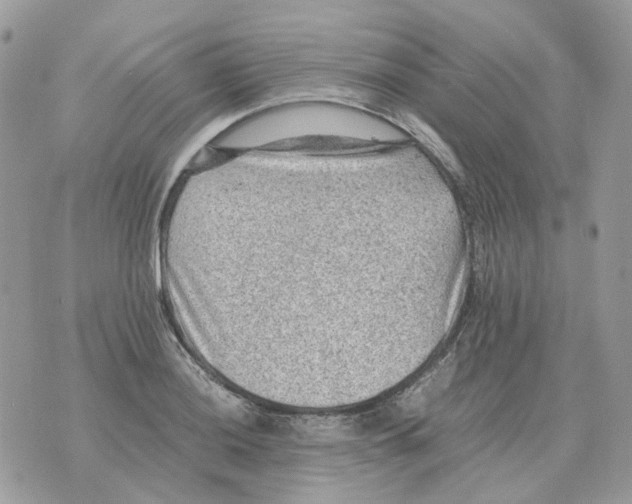 X0000070371036200607072123