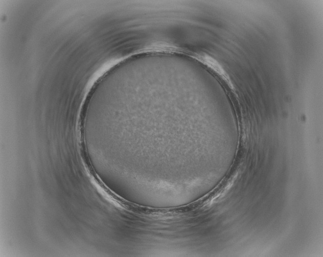 X0000070371037200607072123