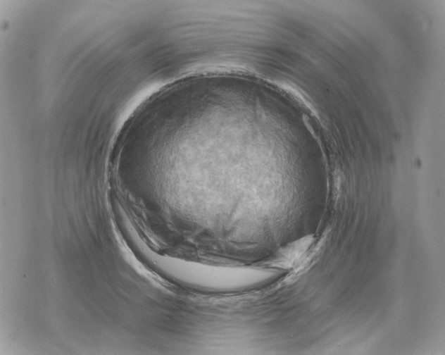 X0000070371038200607072123