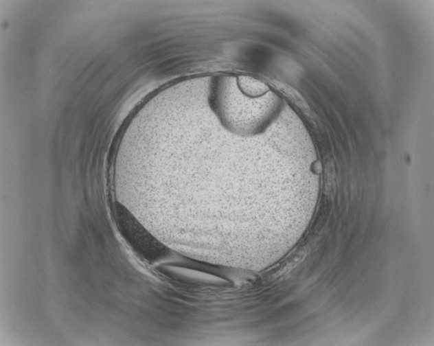 X0000070371039200607072123