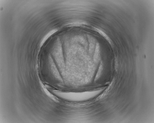 X0000070371042200607072123