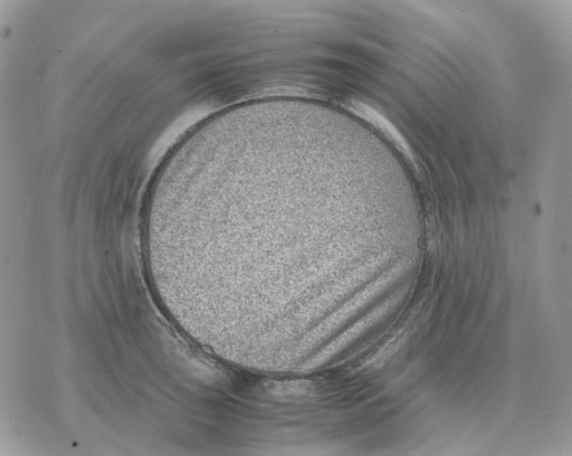 X0000070371043200607072123