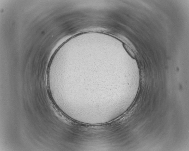 X0000070371044200607072123