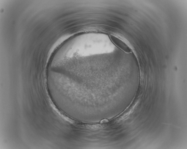 X0000070371045200607072123