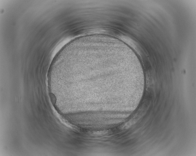 X0000070371047200607072123