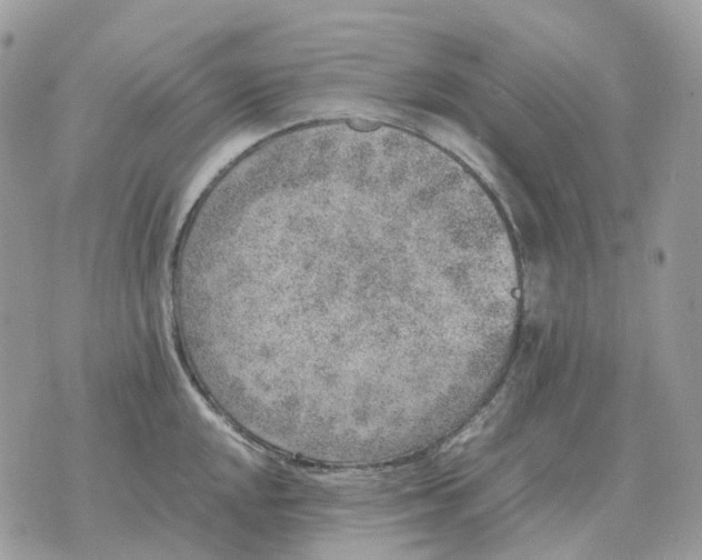 X0000070371048200607072123