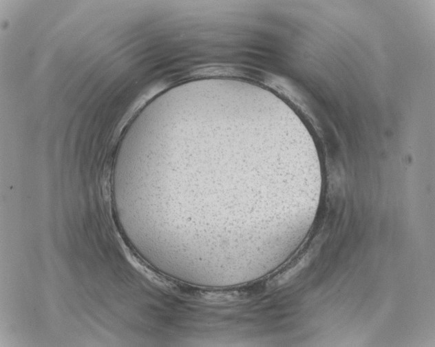 X0000070371049200607072123